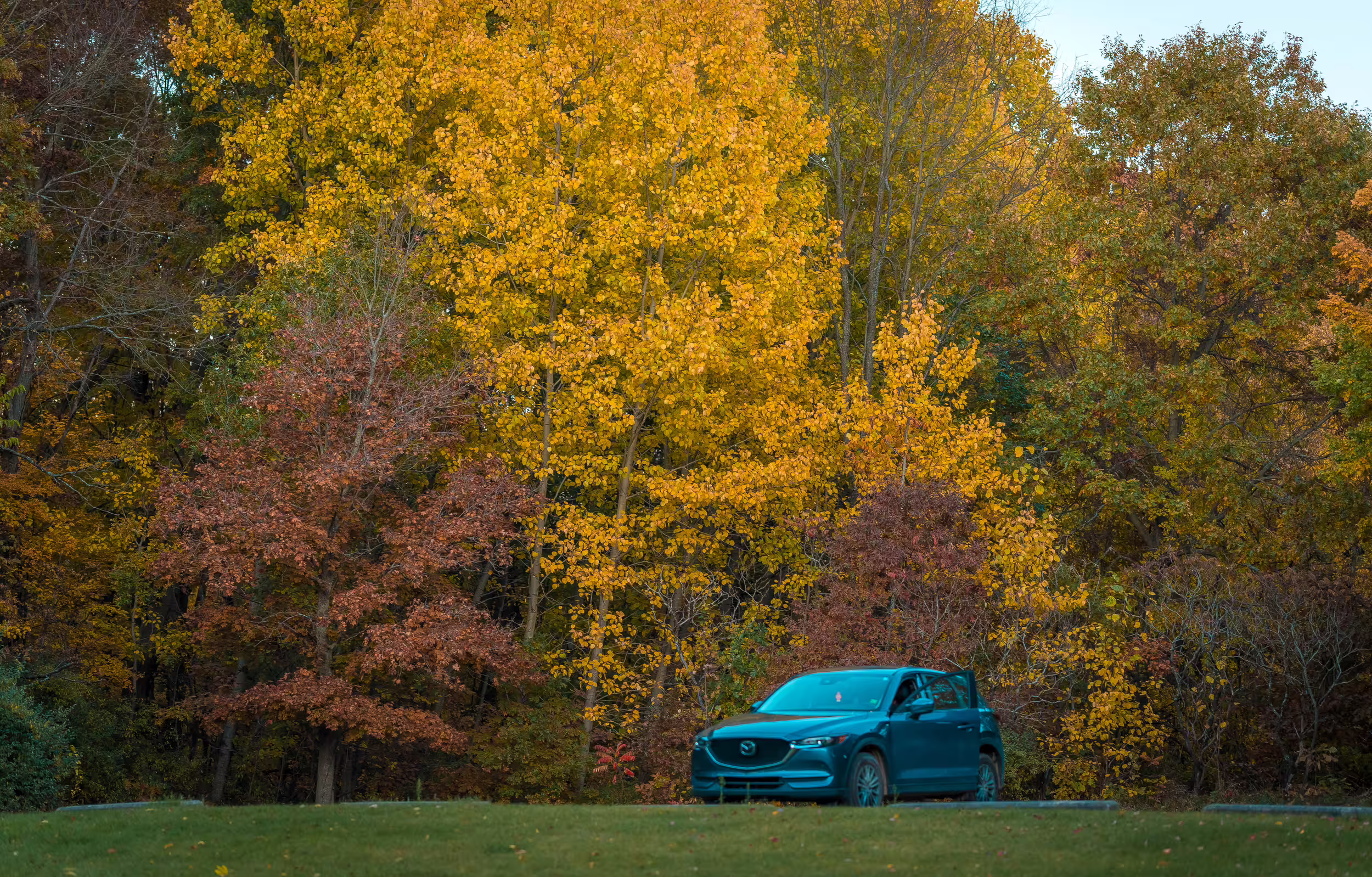 Nature Photography — photo 7
